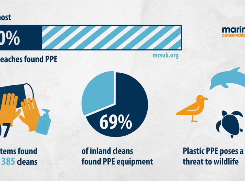 Great British Beach Clean